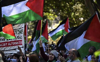 Des personnes portant des pancartes et des drapeaux lors d'un rassemblement anti-Israël, à Hyde Park, à Sydney, le 15 octobre 2023. (Crédit : Saeed Khan/AFP)