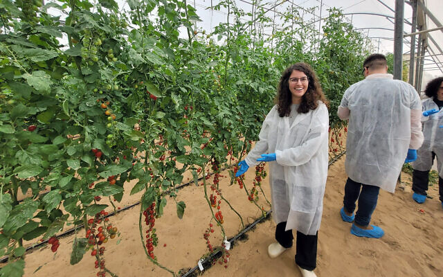 Shira Sabach, responsable de la sélection à la start-up israélienne de FoodTech Supree, dans une serre à Netiv HaaAsara, en novembre 2022. (Crédit : Autorisation)