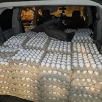 Des œufs saisis par les inspecteurs, sur une photo non datée publiée en avril 2024.(Crédit : Ministère de l'Agriculture)