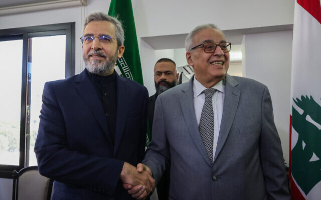 Le ministre intérimaire des Affaires étrangères du Liban, Abdallah Bou Habib (R), rencontre le ministre intérimaire des Affaires étrangères de l'Iran, Ali Bagheri, à Beyrouth, le 3 juin 2024. (Crédit : ANWAR AMRO / AFP)