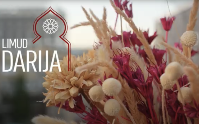 Image d'introduction d'une vidéo de Limud Darija. (Crédit : Youtube @limuddarija / Capture d'écran)