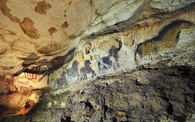 Une partie des célèbres peintures rupestres de Lascaux est photographiée dans le sud-ouest de la France, lors d'une visite exceptionnelle, le vendredi 25 juillet 2008. Des amas de champignons noirs se sont propagés sur les dessins, comme l'ont indiqué des scientifiques en 2007. Ces taches constituent la dernière menace biologique en date pour les peintures rupestres de Lascaux, découvertes en 1940 et considérées comme l'un des plus beaux exemples d'art préhistorique. La datation au carbone 14 suggère que les peintures murales représentant des taureaux, des félins et d'autres figures ont été réalisées il y a entre 15 000 et 17 500 ans dans les grottes situées près de Montignac, en Dordogne. En 1963, suite à l'apparition d'algues vertes et à d'autres dégradations, les grottes ont été fermées au public. Seuls les scientifiques et quelques autres personnes sont autorisés à y pénétrer à certaines heures. (Photo AP/Pierre Andrieu, Pool)