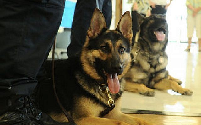 Gunner the Butler Police dog, and his handler, meet the public at a ceremony, Wednesday, May 22. His fellow K-9 officer, Blade, is in the background. (Photo by Dave Prelosky, Butler Eagle)