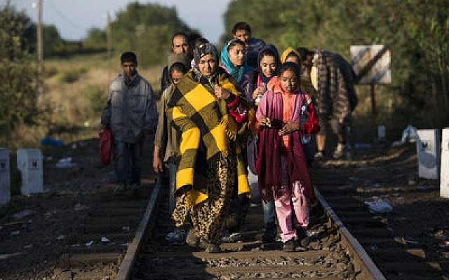 Migrants walk along a motorway near the southern Hungarian village of Roszke. (Matt Cardy/Getty Images)