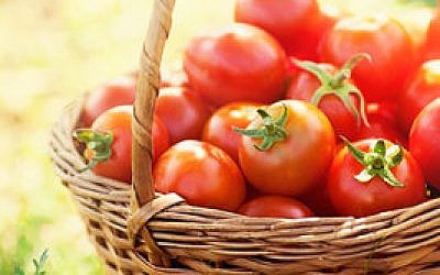 Versatile by nature, tomatoes complement meat, fish and 
most any produce. 
