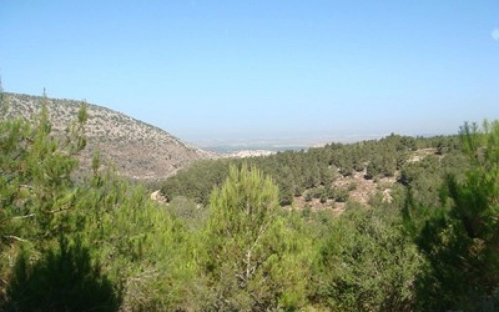 A view of the Galilee from the P2K Trail. (photo courtesy of Cindy Goodman-Leib)