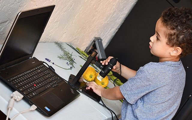 Exploring the lulav, etrog and other materials under a digital microscope. (Photo courtesy of Community Day School)