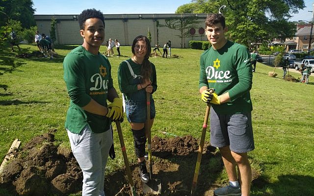 Sean Graves, Emily Pressman and Jackson Blaufeld were among those to plant 11 trees in memory of those who died during the Tree of Life attack. Photo by Adam Reinherz