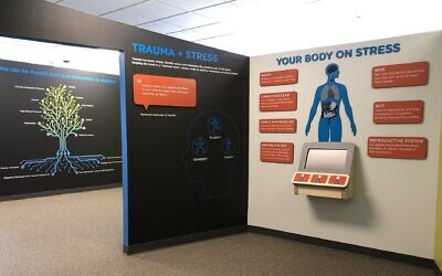 Part of the Healing Rivers Project exhibit. (Photo courtesy of Center for Victims)