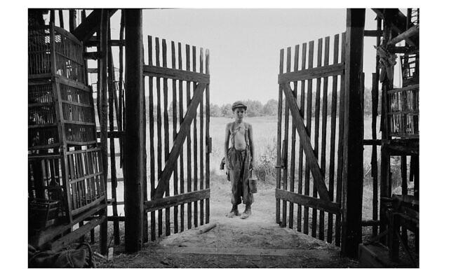 A young Jewish boy is the focus of “The Painted Bird.” Photo courtesy of Silver Screen