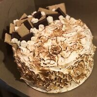Mayo recently purchased a baker's torch, which she's used on recipes like her S'mores Cake. Photo by Elena Mayo. Mayo recently purchased a baker's torch, which she's used on recipes like her S'mores Cake. Photo by Elena Mayo.