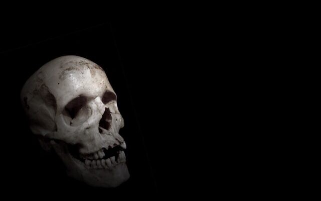 "Skull" by Benedict Francis (Licensed under CC BY 2.0) "Skull" by Benedict Francis (Licensed under CC BY 2.0)