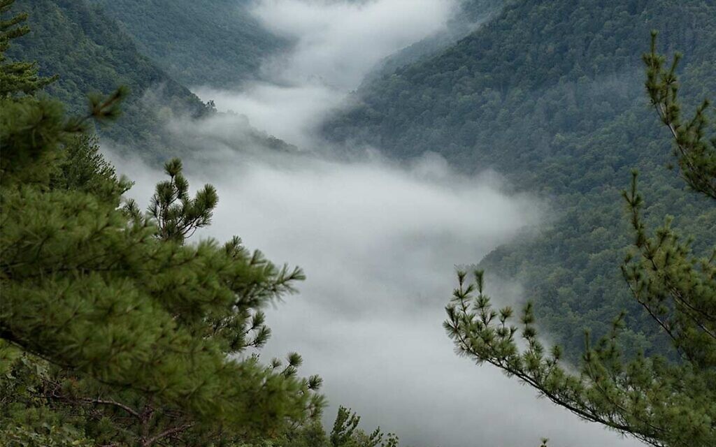 Pennsylvania Grand Canyon covered in mist. Photo by NatureLifePhoto, courtesy of Flickr.com. Pennsylvania Grand Canyon covered in mist. Photo by NatureLifePhoto, courtesy of Flickr.com.