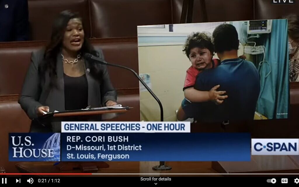 (Screenshot from C-SPAN) (Screenshot from C-SPAN)