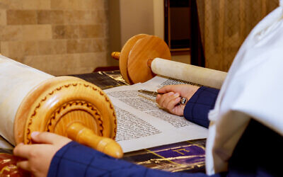 Reading Torah. Photo by photovs via iStock