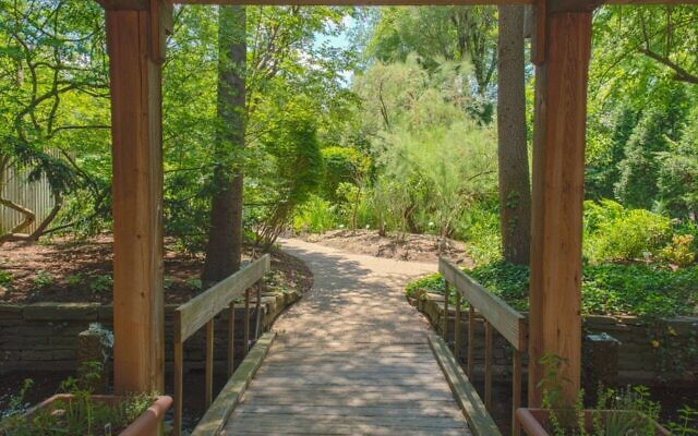 Rodef Shalom Biblical Botanical Garden (Photo by Nick Koehler)