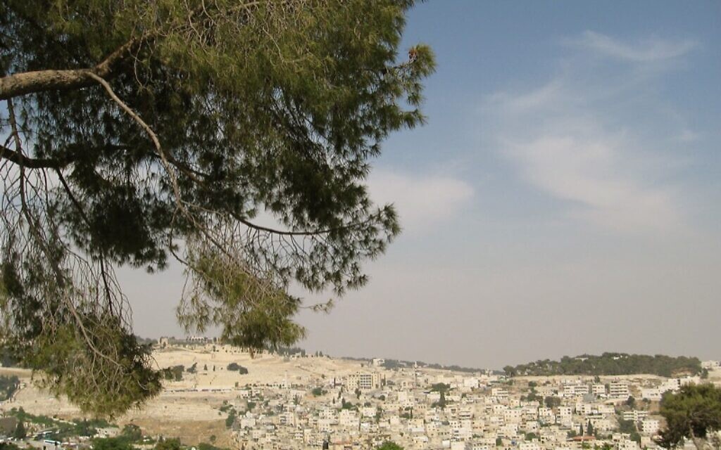 This is Israel calling... | The Pittsburgh Jewish Chronicle - Vimarsana News