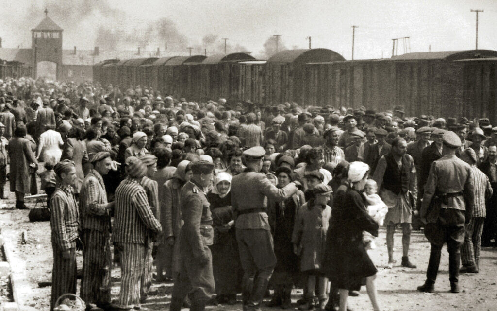 May/June 1944, Auschwitz gate in the background. "Selection" of Hungarian Jews for work or the gas chamber. From the Auschwitz Album, taken by the camp's Erkennungsdienst.
(Several sources believe the photographer to have been SS officers Ernst Hoffmann or Bernhard Walter, who ran the Erkennungsdienst., Public domain, via Wikimedia Commons)