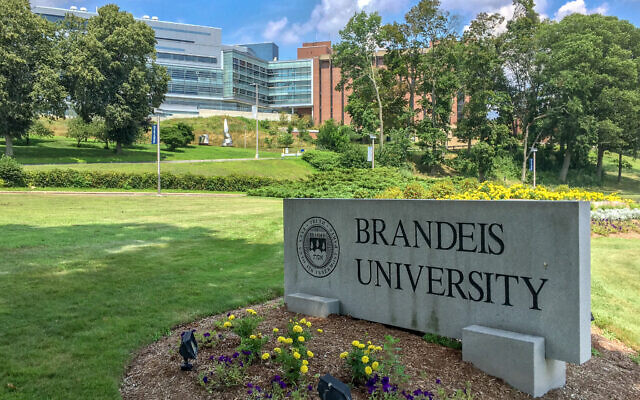 Brandeis University sign (Credit: Kenneth C. Zirkel, CC BY-SA 4.0 via Wikimedia Commons)