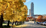 Oakland and Cathedral of Learning. (Photo by Cam Miller via Flickr at https://rb.gy/r2yato)