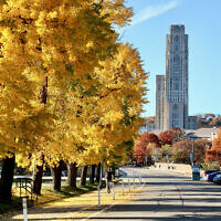 Oakland and Cathedral of Learning. (Photo by Cam Miller via Flickr at https://rb.gy/r2yato)