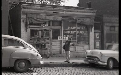 Photograph from the Lower Hill Redevelopment collection showing an Urban Redevelopment Authority surveyor standing outside Haimovitz Poultry Market at 91 Logan St, 1955. (Image courtesy Pittsburgh City Archives, Office of the City Clerk)