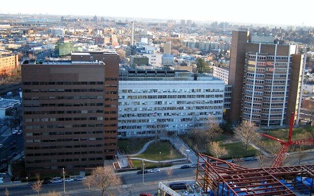 The front Belfer, Forchheimer and Ullmann buildings of the Albert Einstein College of Medicine (Photo by Chriscobar via Wikimedia Commons)