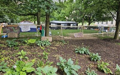 Anti-Israel encampment at the University of Pittsburgh's Cathedral of Learning on June 3 (Photo by David Rullo)