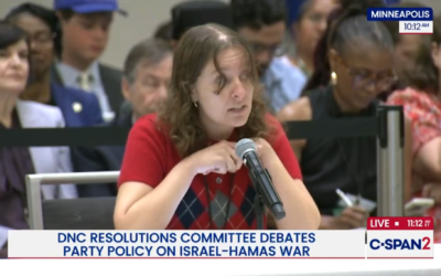 Allison Minnerly, a new Gen Z DNC member from Florida, speaks about a resolution she proposed seeking to block arms sales to Israel and recognize a Palestinian state. (Screenshot)