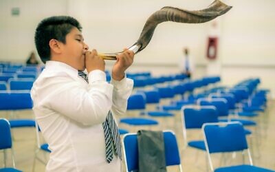 If a shofar blasts in an empty hall, will anyone listen? (Photo by Israel Torres via Pexels)