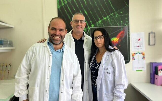 Prof. Eran Perlson of the Gray Faculty of Medical and Health Sciences and the Sagol School of Neuroscience at Tel Aviv University, center, with Dr. Ariel Ionescu,left, and PhD student Tal Pery Gradus. (Courtesy/Tel Aviv University) Prof. Eran Perlson of the Gray Faculty of Medical and Health Sciences and the Sagol School of Neuroscience at Tel Aviv University, center, with Dr. Ariel Ionescu,left, and PhD student Tal Pery Gradus. (Courtesy/Tel Aviv University)