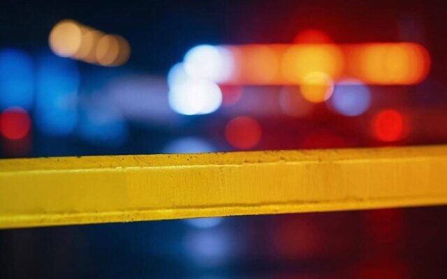 Police car lights (Credit: geralt/Pixabay)