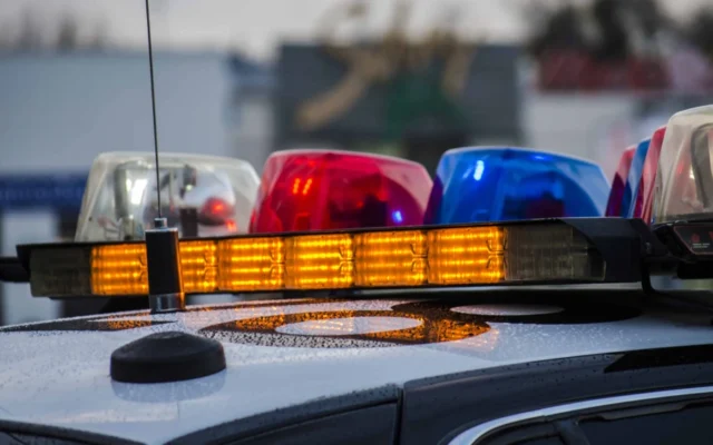 Police car lights (Credit: tevenet/Pixabay) Police car lights (Credit: tevenet/Pixabay)