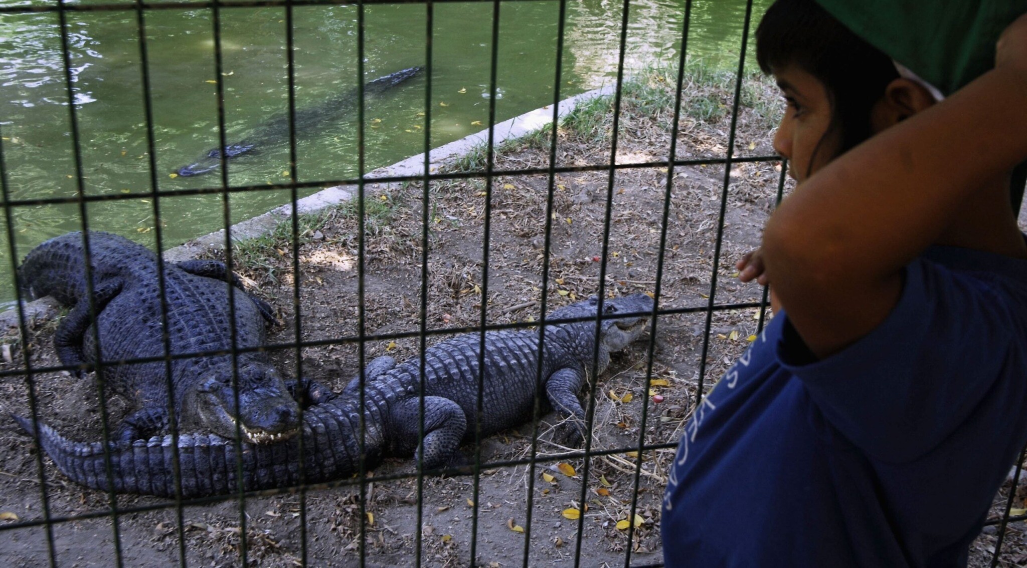 Israeli court delays Ben-Gvir's plans for an Israeli ‘Crocodile Alcatraz'