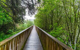(Photo by William Murphy, courtesy of flickr.com)