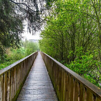 (Photo by William Murphy, courtesy of flickr.com)