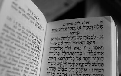 An excerpt of Psalms. (Photo by Joachim Schnürle via Pexels)