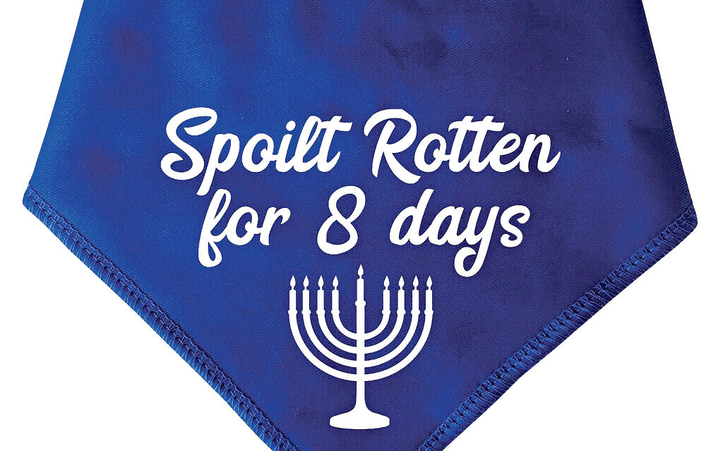 Paws here | Jewish News - Vimarsana News