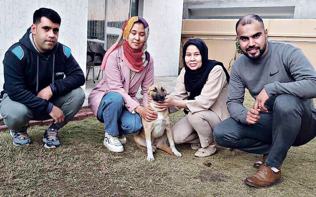 Conversation between British-Jewish translator and leading vet helps rescue of 92 Afghans - Vimarsana News