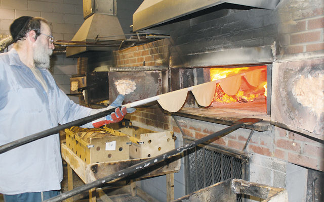 It takes about 20 seconds in a 1,300-degree, coal-and-wood-fired oven to bake shmura matzah to perfection. (Uriel Hellman)
