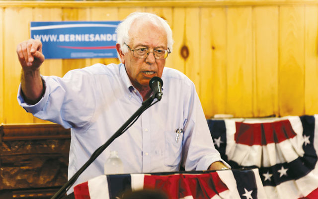 Bernie Sanders addresses a campaign rally. (Michael Vadon via Wikimedia Commons)