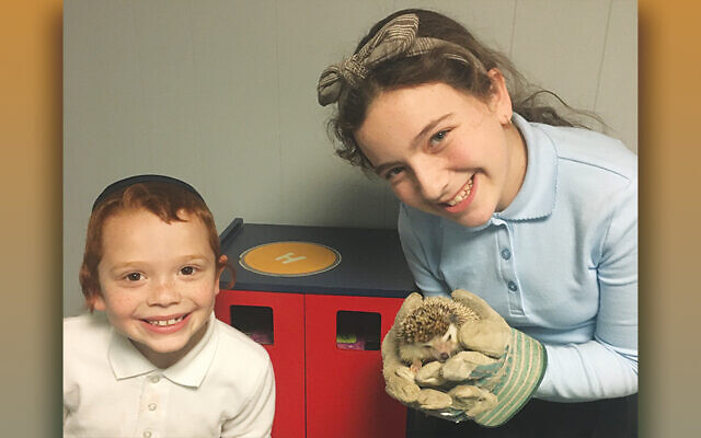 Yozi and Elana Levin and their family pet hedgehog, Tyler.
