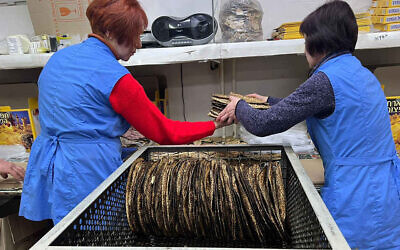 Factories in Ukraine account for about 15-20% of the market share in the U.S. for shmura matzah. (Courtesy of Meyer Stambler)