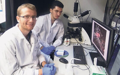 Noam Putterman, left, and Bar-Ilan master’s student Khalil Srouji look at B-cells in the meninges in an Alzheimer’s disease mouse model. (Bar-Ilan University)