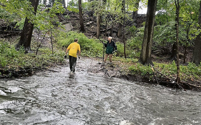 After an hour of steady downpour, the brook’s waters had risen above the stones the group crossed on.  Here, Paul Hutt helps his wife, Barbara Hutt, wade back across. (All photos courtesy Lymor Wasserman)