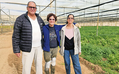 Janice Stein, center, stands with a couple who live in Moshav Dekel. (All photos courtesy Janice Stein)