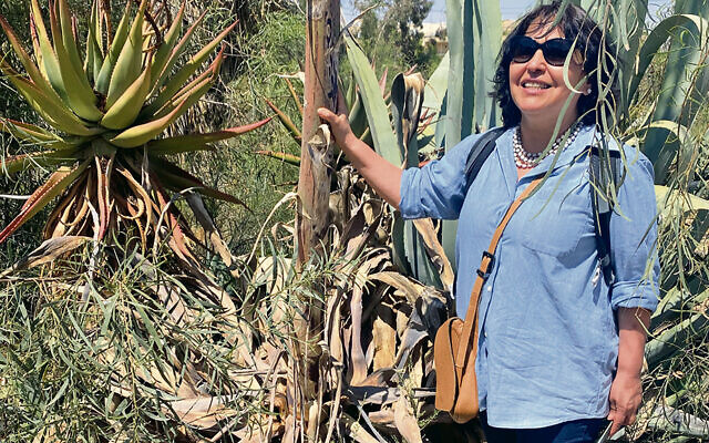 ON THE COVER:  Academic horticulturalist Ana Valenzuela, who specializes in agave, stands in Ben Gurion University’s Sde Boker campus garden with a species of locally grown agave. (Negave Estates)