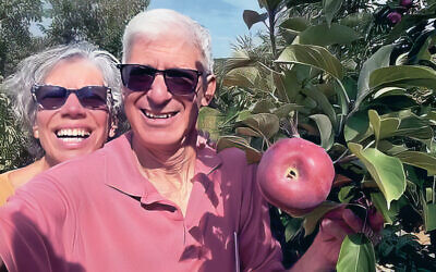 Merrill and Andy Silver pick apples in upstate New York.