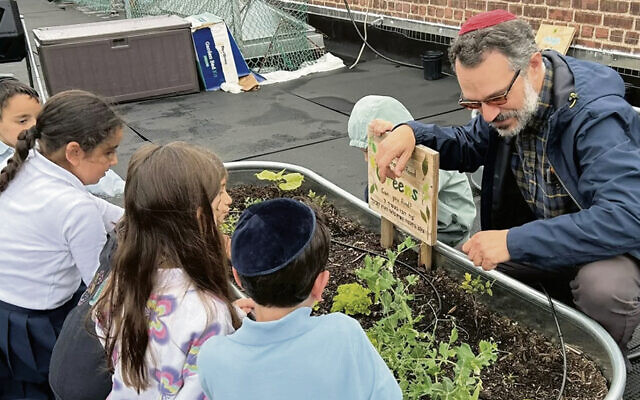ON THE COVER: Farmer Shimon teaches in the rooftop GrowTorah garden at Yeshivah Prep in Brooklyn. (GrowTorah)