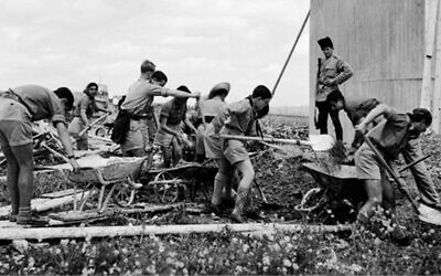 Young people work in Jerusalem’s Talpiot neighborhood, April 1938. (Avraham Malavsky, KKL-JNF Photo Archive)